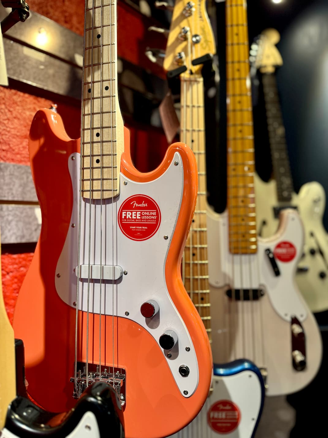 Squier vs. Fender: ¿Cuál es la Guitarra Ideal para Ti?
