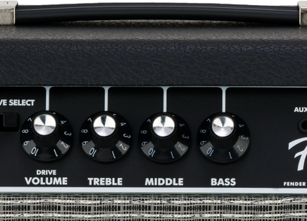 Amplificador Frontman® 20G, 120 V